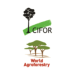 ICRAF - INTERNATIONAL CENTRE FOR RESEARCH IN AGROFORESTRY 