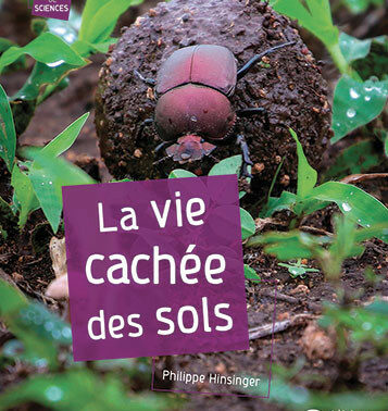 La vie cachée des sols