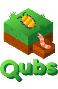 QUBS