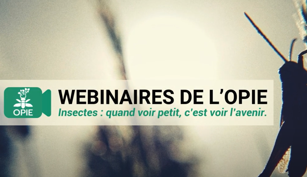 Webinaires de l’Opie V : « La biodiversité discrète du sol »