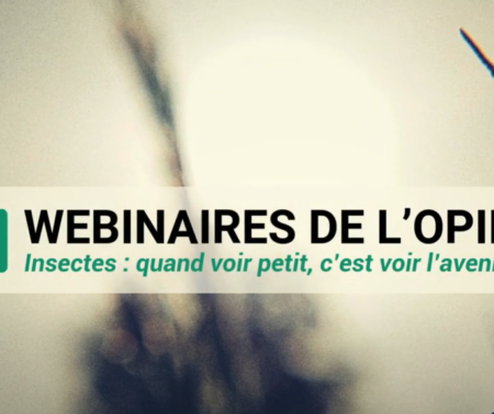 Webinaires de l’Opie V : « La biodiversité discrète du sol »